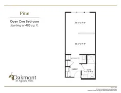 Pine open one bedroom floor plan