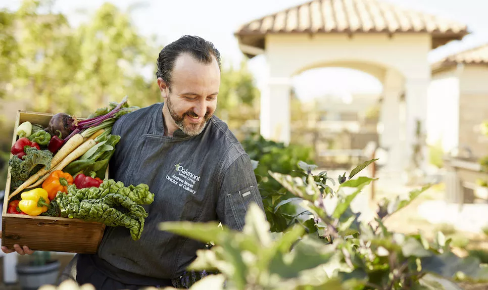 An Oakmont staff member harvesting vegetables