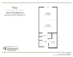 Camarillo open one bedroom plan