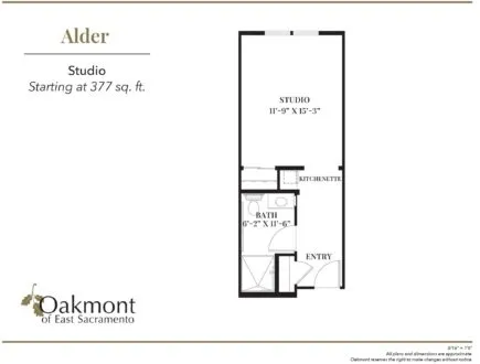 Alder Studio floor plan