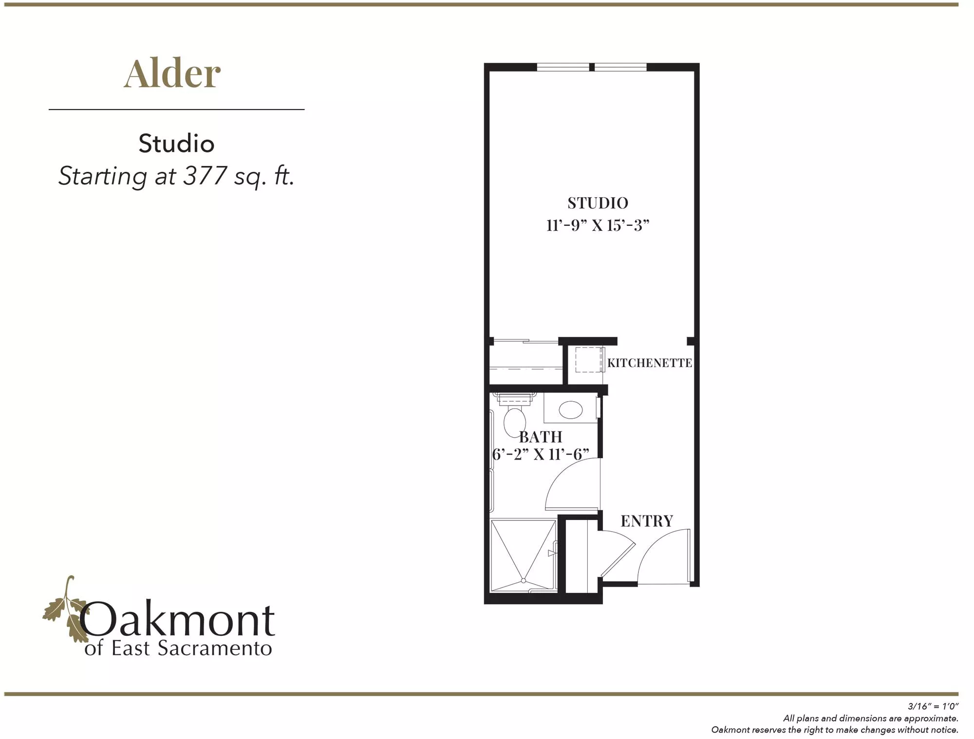 Alder Studio floor plan