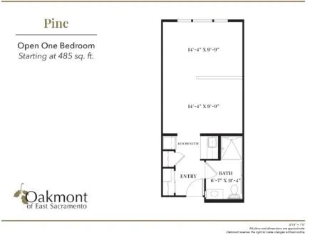Pine open one bedroom floor plan