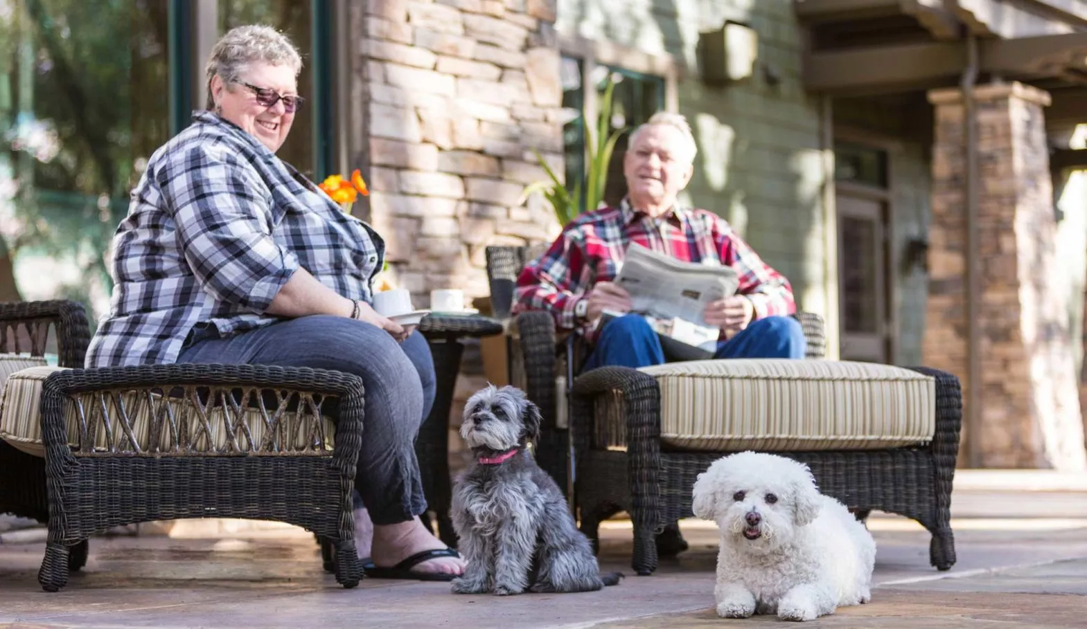 One senior men and a woman having coffee outside with their dogs