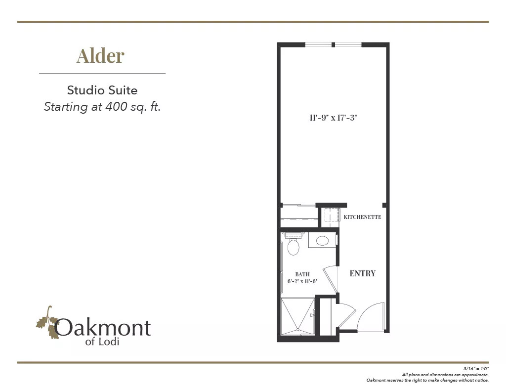 Alder Studio Suite floor plan