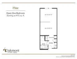 Pine open one bedroom floor plan