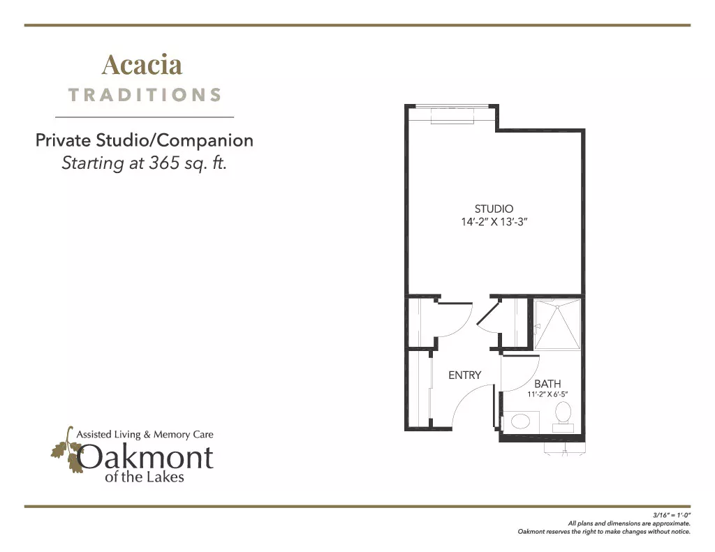 Acacia private studio, companion floor plan