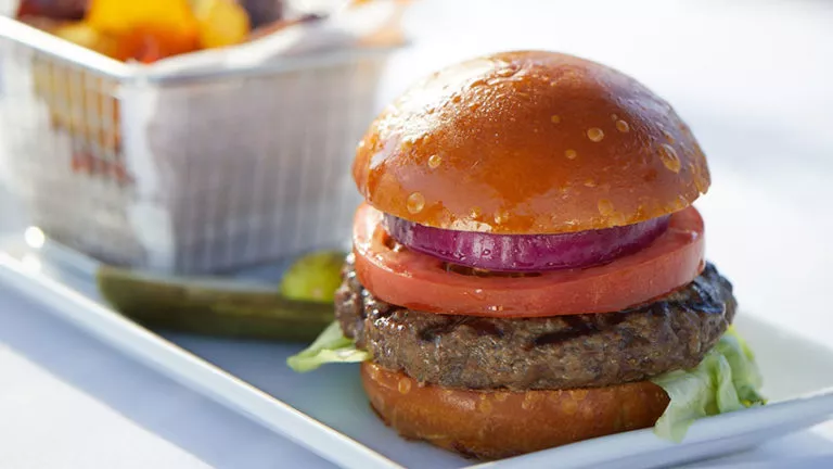 Juicy burger