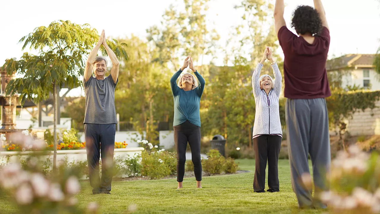 Group of seniors are doing yoga outdoors