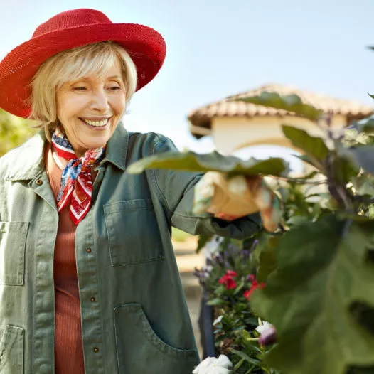 Smiling senior lady in a red hat looking at the flowers