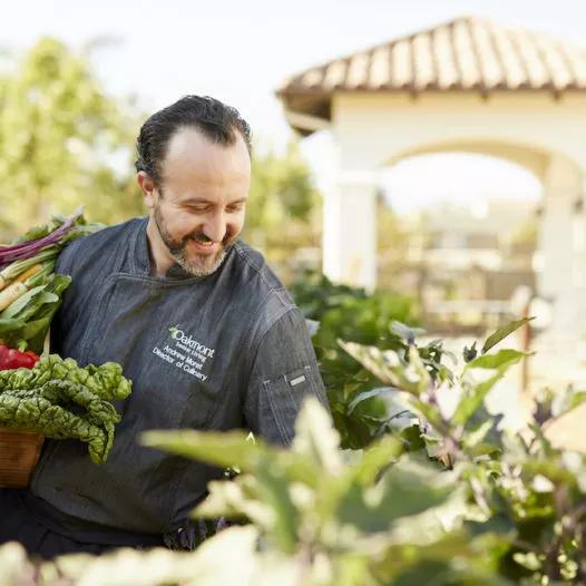 Staff member harvesting food from a garden