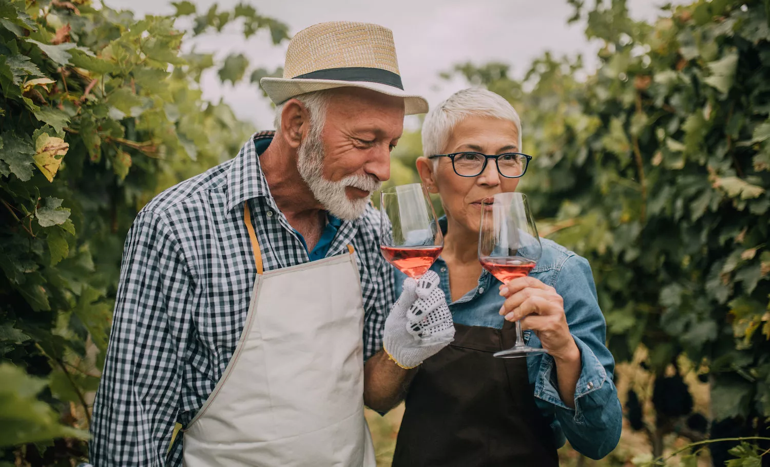 Old couple drinking rose wine