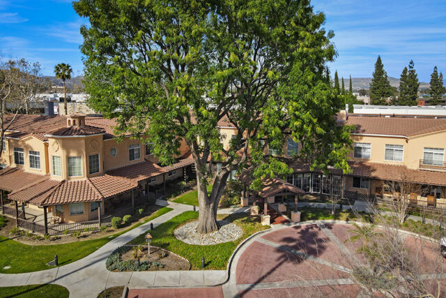 Ivy Park at West Hills
