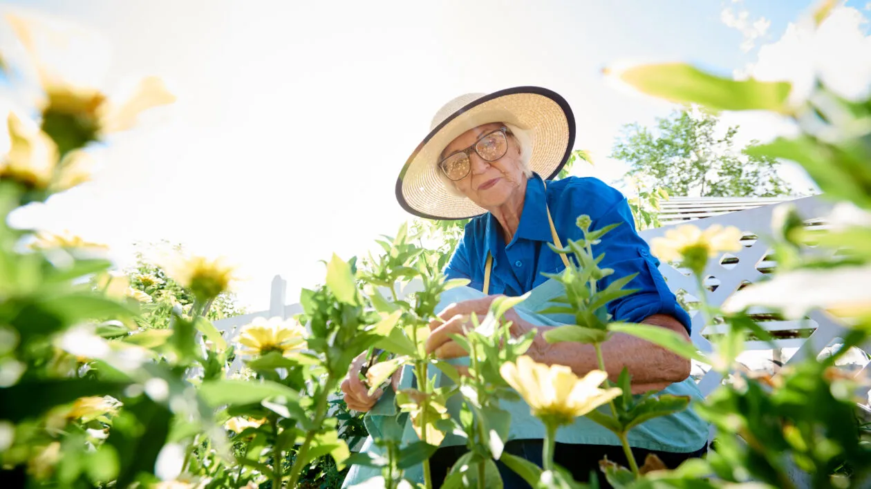 gardening hobbies for seniors